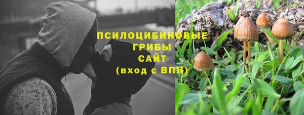 PSILOCYBIN Верхний Тагил