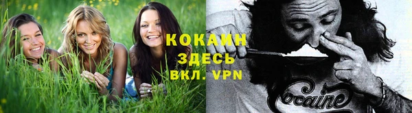 спайс Бородино