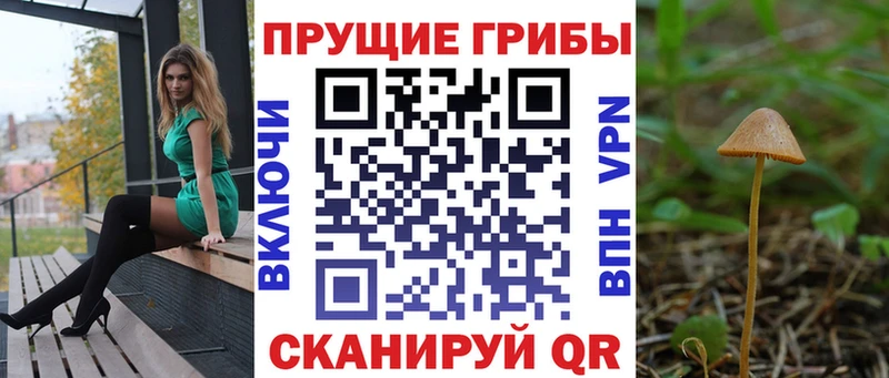 ОМГ ОМГ зеркало  Кинель  Псилоцибиновые грибы Magic Shrooms 