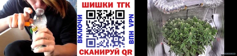 закладка  Кинель  darknet клад  МАРИХУАНА сатива 